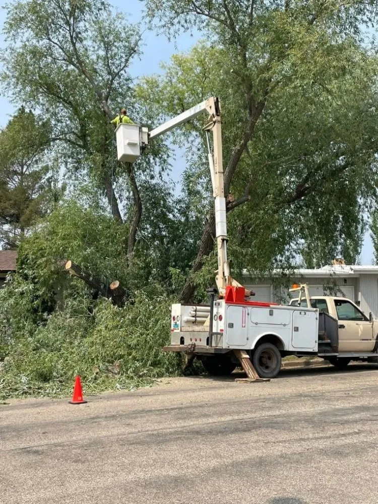 Trusted yard cleanup service experts serving Minot, ND - Tony's Mow & Snow
