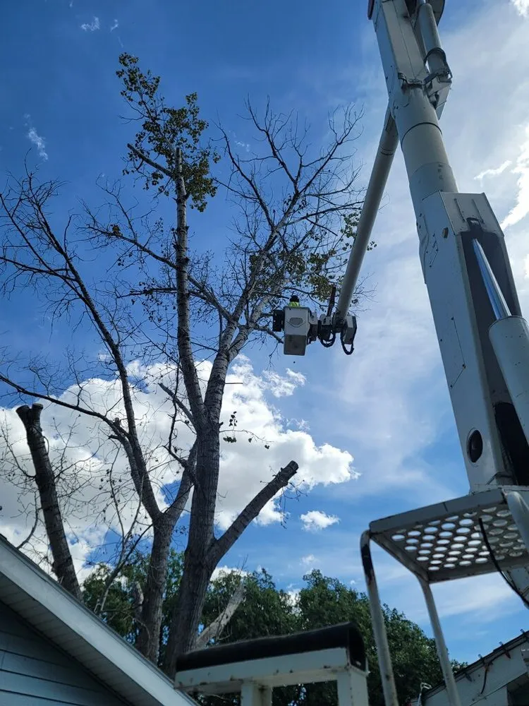 Local landscaping services in Minot, ND - Tony's Mow & Snow