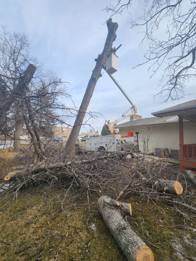 Reliable residential landscaping with custom design in Minot, ND by Tony's Mow & Snow