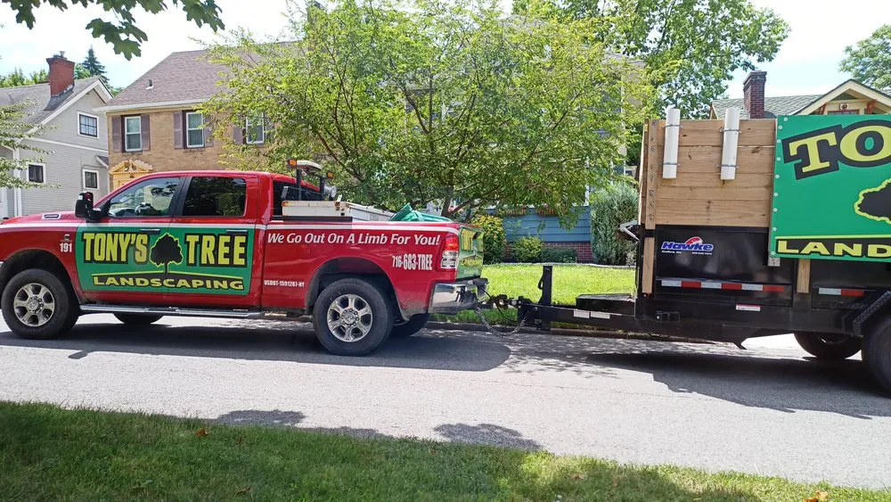 Affordable yard cleanup service for beautiful yards across Cheektowaga, NY - Tony's Tree and Landscaping