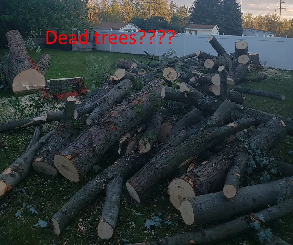 Trusted landscape design experts serving Cheektowaga, NY - Tony's Tree and Landscaping