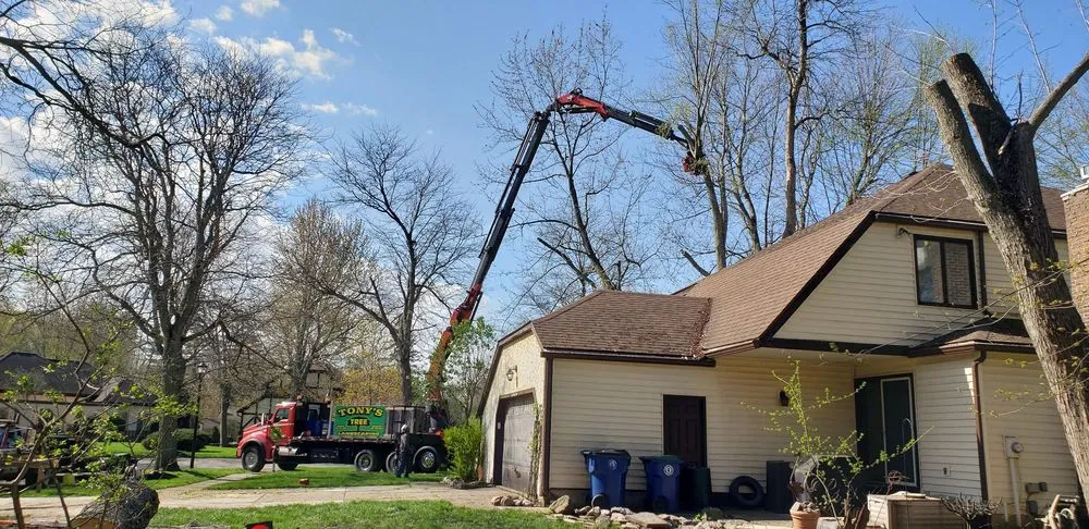 Expert landscape installation for outdoor upgrades across Cheektowaga, NY - Tony's Tree and Landscaping