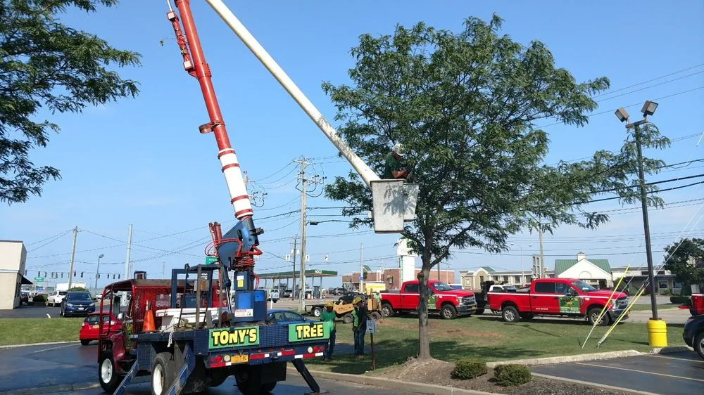 Top-rated lawn mowing service in Cheektowaga, NY - Tony's Tree and Landscaping