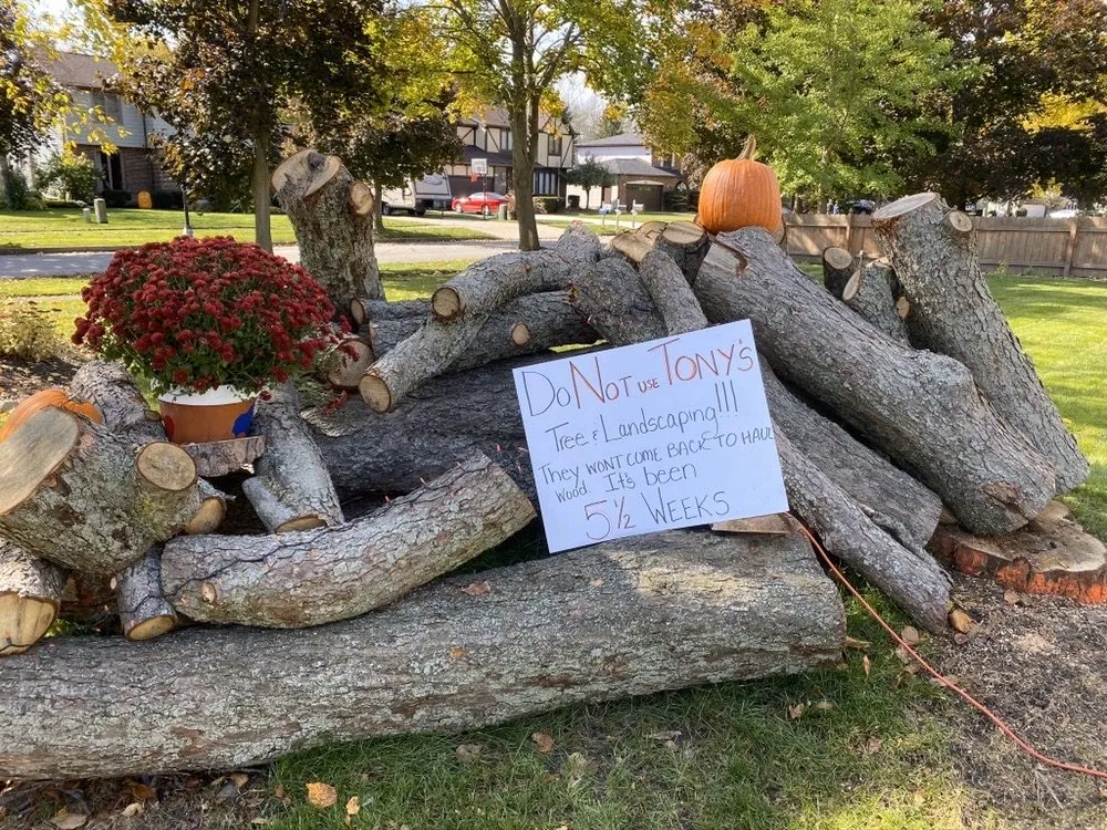 Expert lawn mowing service experts serving Cheektowaga, NY - Tony's Tree and Landscaping