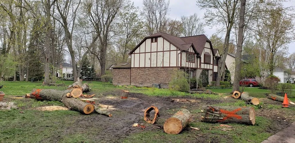 Reliable residential landscaping for beautiful yards in Cheektowaga, NY by Tony's Tree and Landscaping