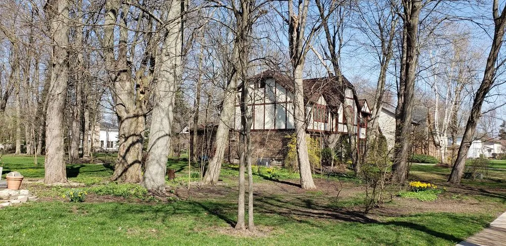 Affordable landscape installation in Cheektowaga, NY by Tony's Tree and Landscaping