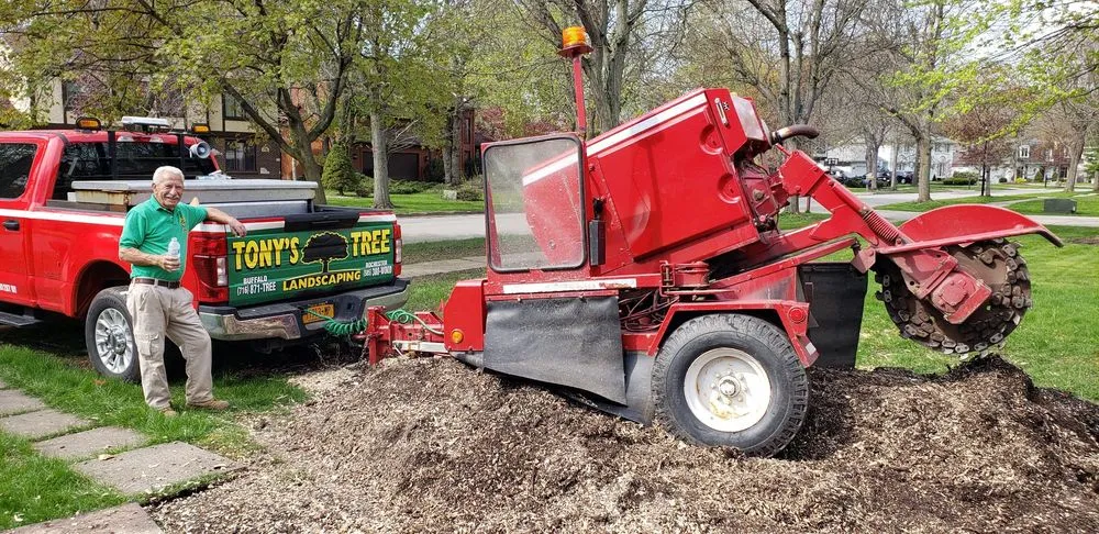 Professional lawn mowing service in Cheektowaga, NY - Tony's Tree and Landscaping