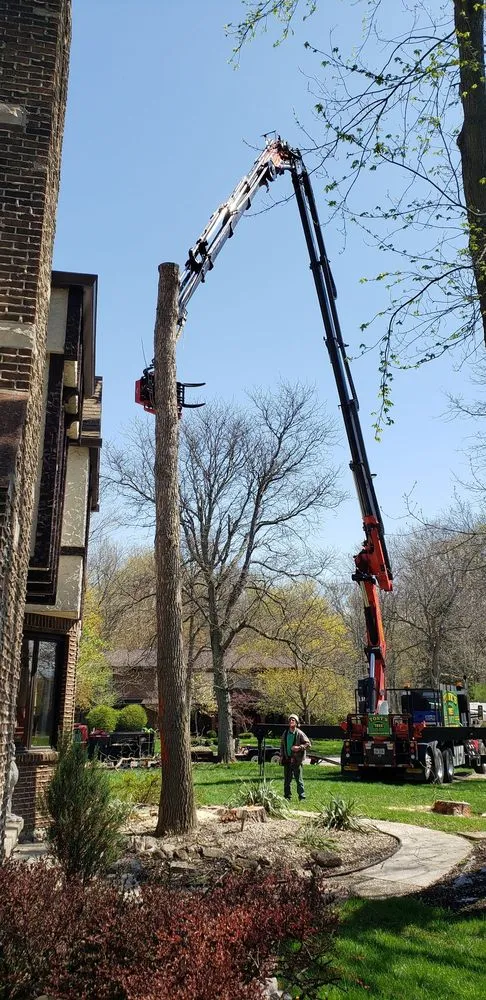 Reliable yard cleanup service for outdoor upgrades in Cheektowaga, NY by Tony's Tree and Landscaping