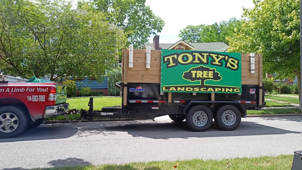 Affordable yard maintenance in Cheektowaga, NY - Tony's Tree and Landscaping