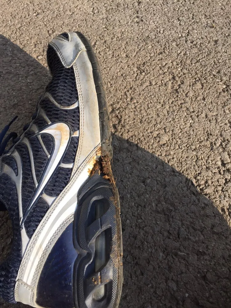 Top-rated residential landscaping near you across Cheektowaga, NY - Tony's Tree and Landscaping