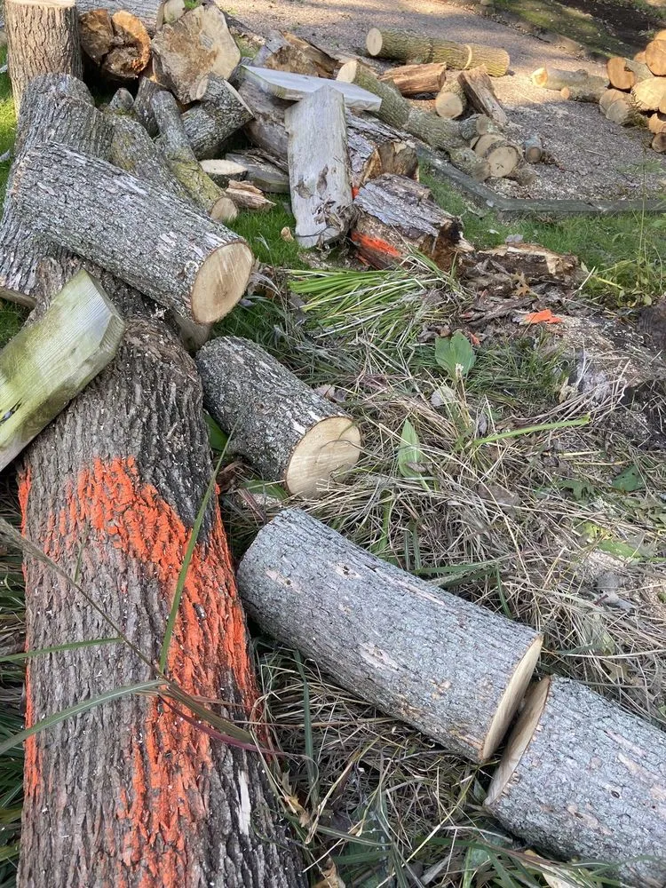 Affordable lawn care service for beautiful yards across Cheektowaga, NY - Tony's Tree and Landscaping