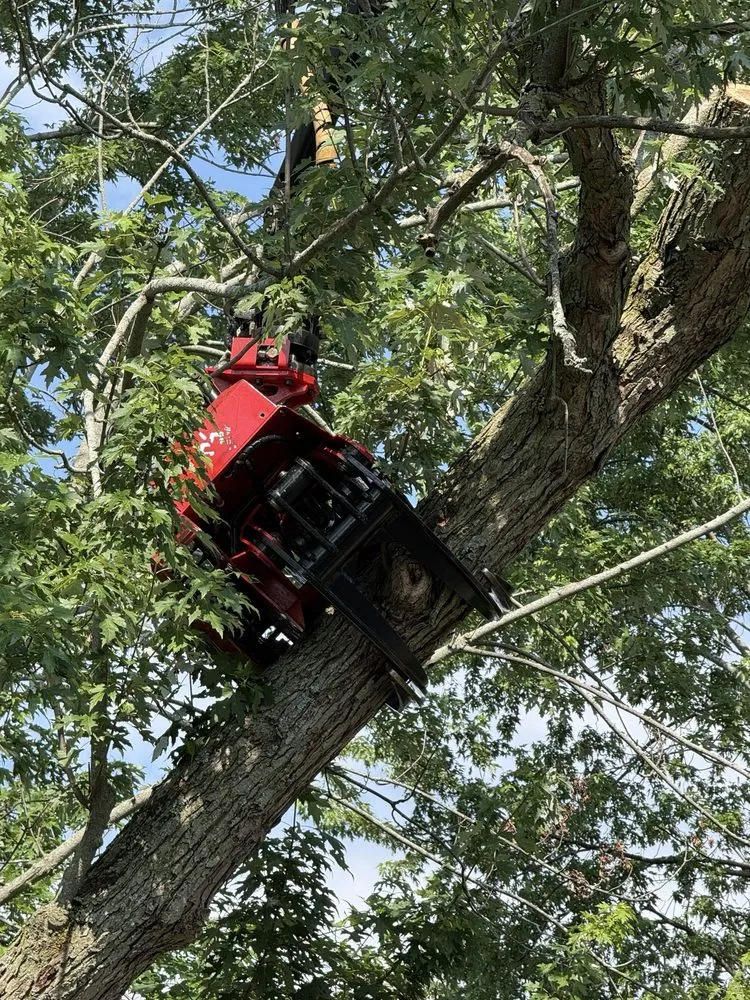 Professional garden landscaping in Cheektowaga, NY by Tony's Tree and Landscaping