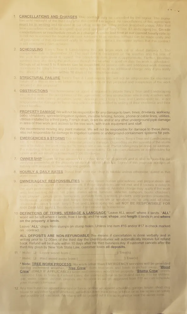 Professional landscape design in Cheektowaga, NY by Tony's Tree and Landscaping