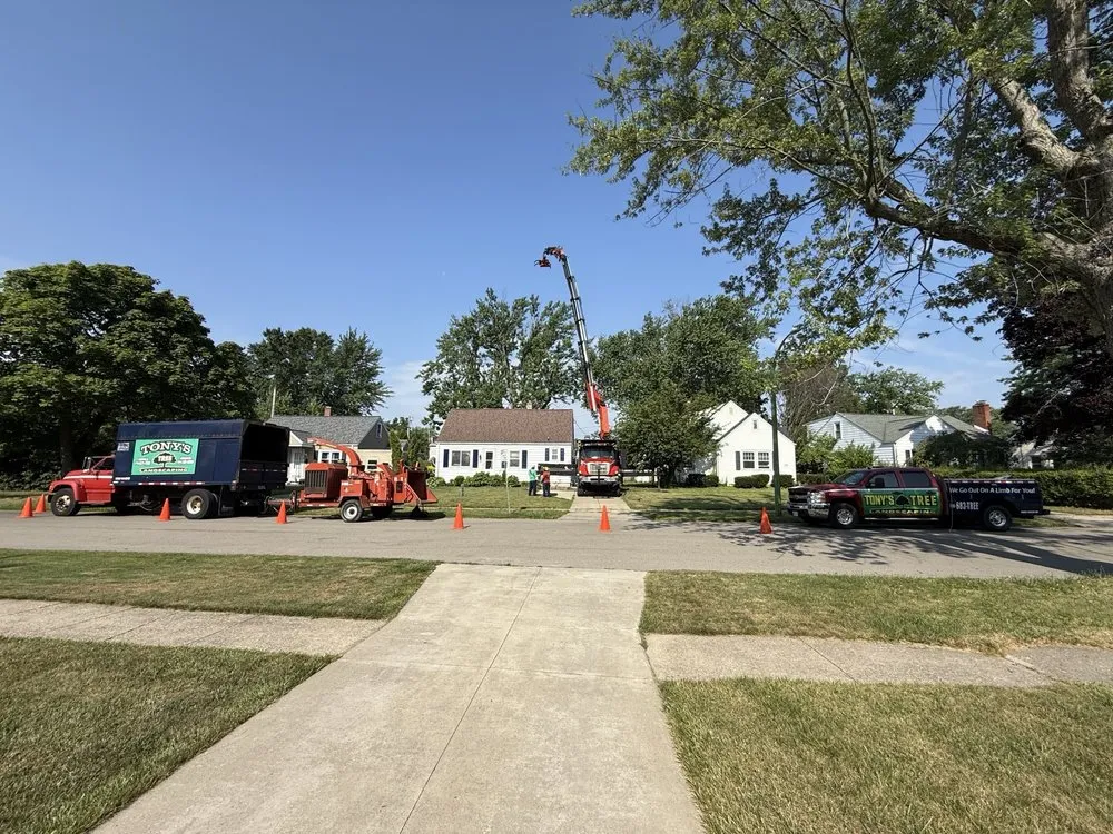 Custom garden landscaping in Cheektowaga, NY by Tony's Tree and Landscaping