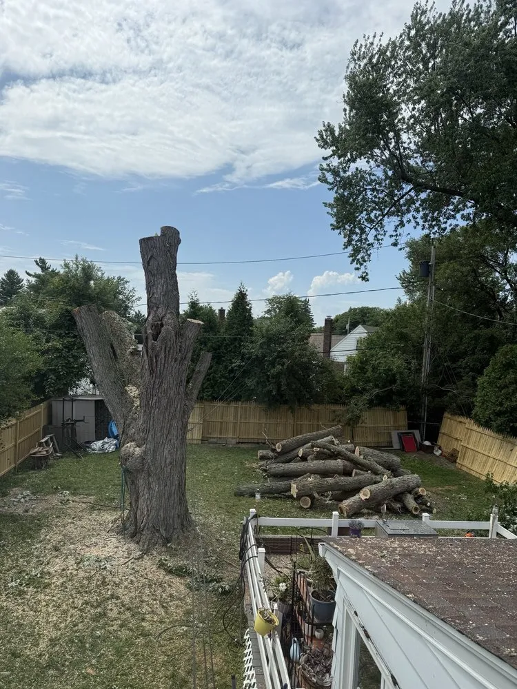 Affordable lawn care service in Cheektowaga, NY by Tony's Tree and Landscaping