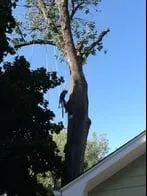 Custom garden landscaping in Bolingbrook, IL by Tony's Tree Care