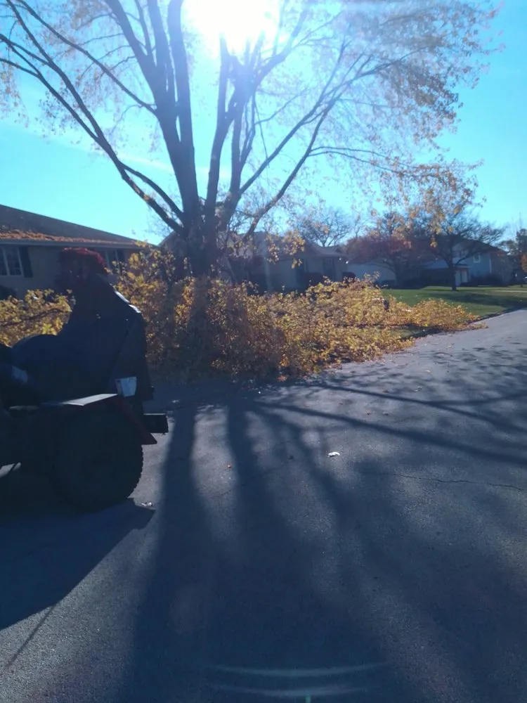 Expert landscape installation for year-round maintenance in Bolingbrook, IL by Tony's Tree Care