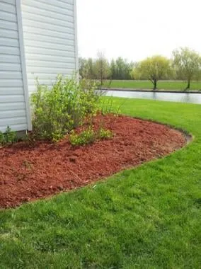 Affordable yard maintenance in Bolingbrook, IL by Tony's Tree Care