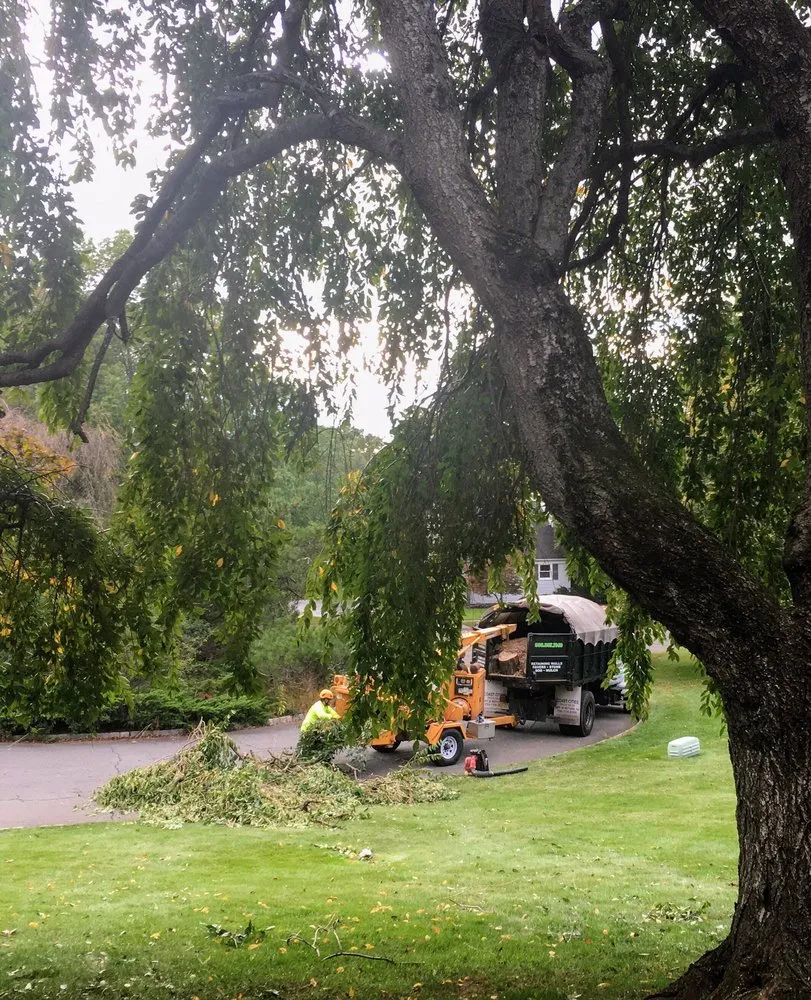 Affordable outdoor landscaping in Manville, NJ by Tony's Tree Service & Landscaping