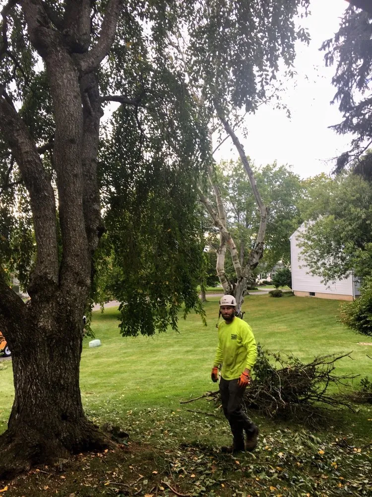 Top-rated yard cleanup service in Manville, NJ - Tony's Tree Service & Landscaping