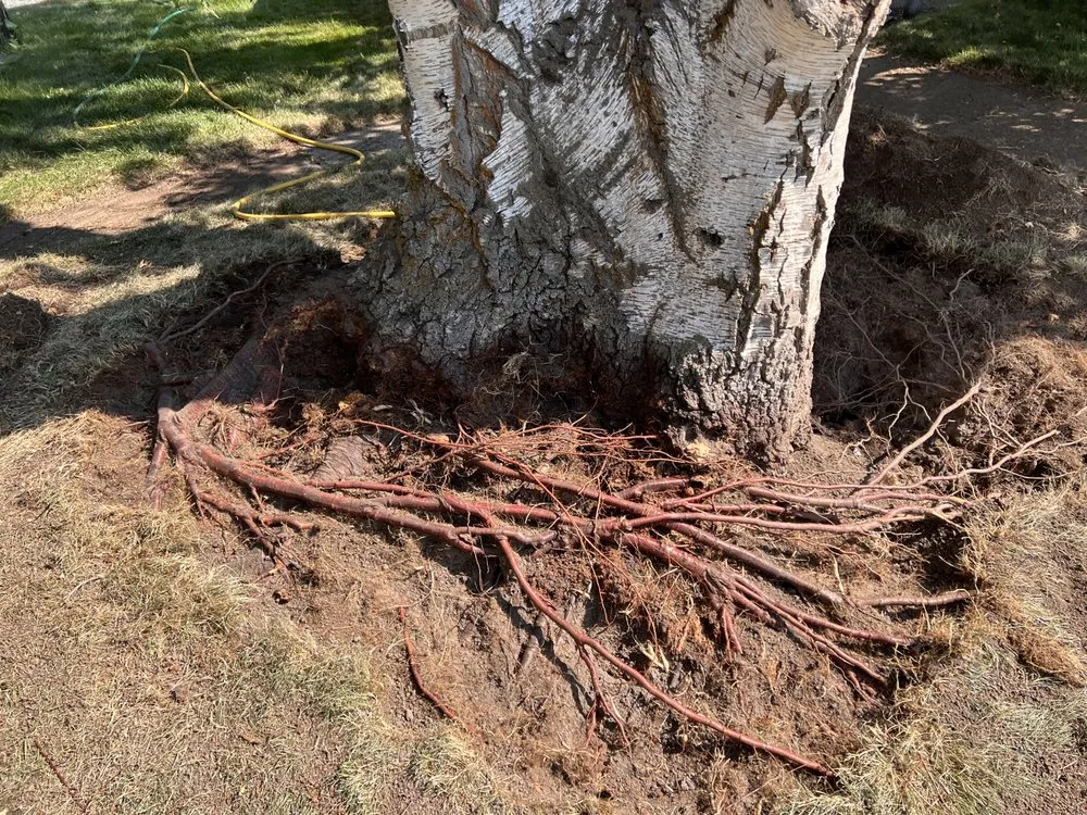 Trusted outdoor landscaping experts serving Baker City, OR - Tony's Tree Service