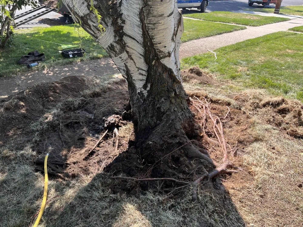 Expert lawn care service in Baker City, OR - Tony's Tree Service