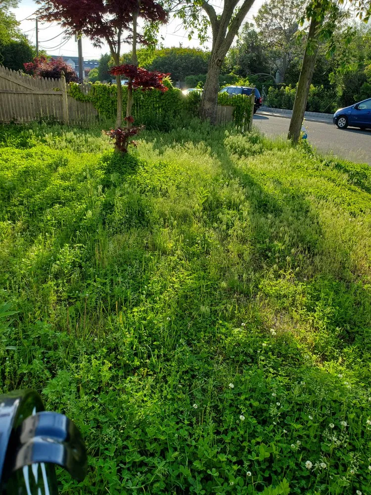 Expert outdoor landscaping for year-round maintenance in West Hempstead, NY by Tonys Trimmy Touch