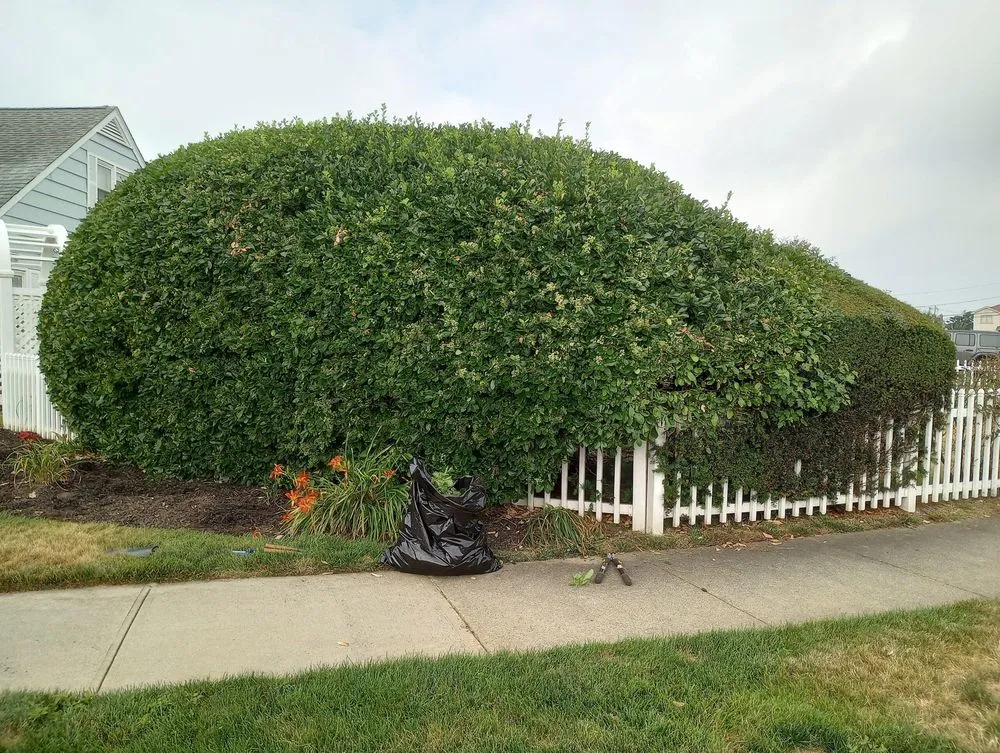 Reliable lawn care service experts serving West Hempstead, NY - Tonys Trimmy Touch