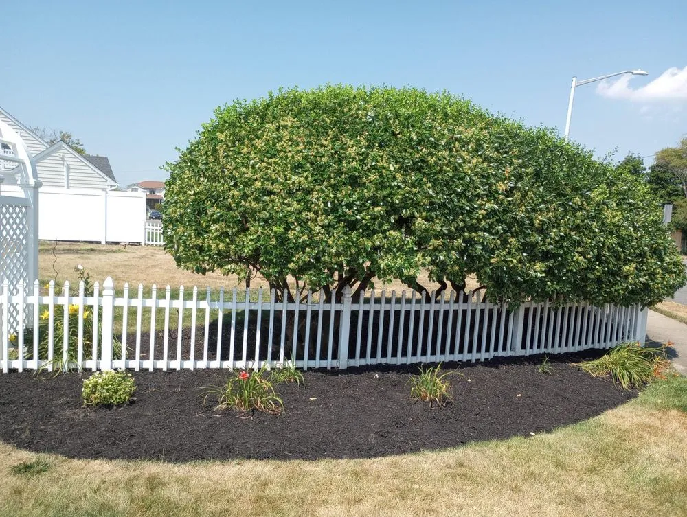 Trusted garden landscaping for year-round maintenance across West Hempstead, NY - Tonys Trimmy Touch