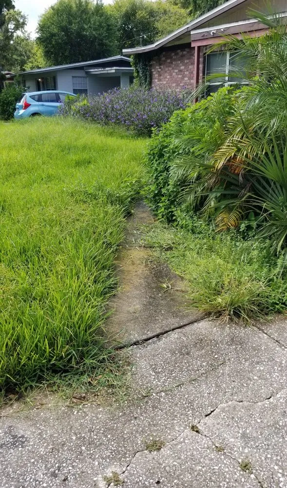 Top-rated landscaping services for residential properties across Daytona Beach, FL - Tony's Turf