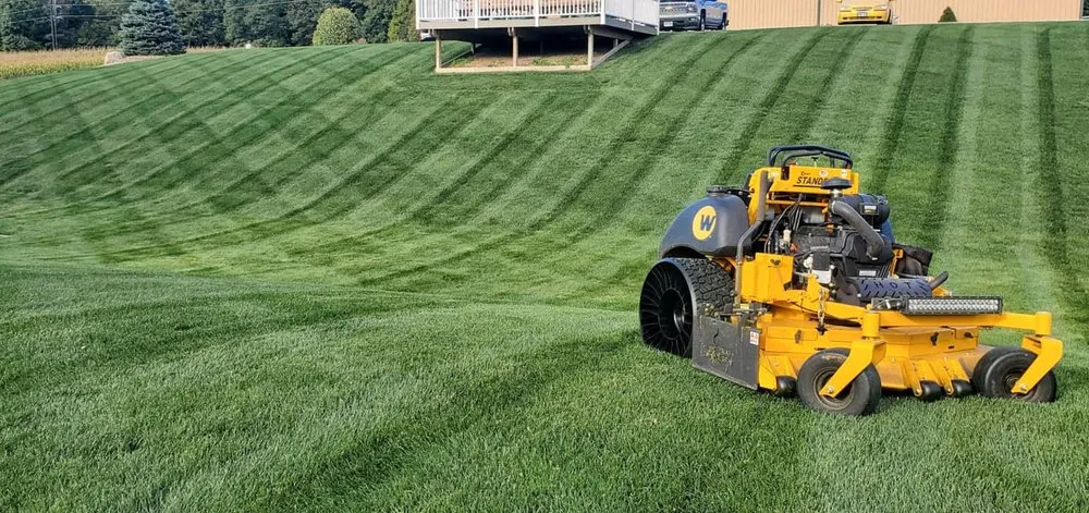 Professional landscape installation in New Braunfels, TX by Tony's Turf Lawn Care