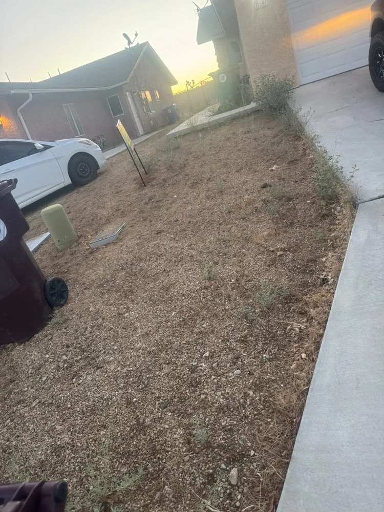 Expert lawn mowing service in Yucca Valley, CA by Tony’s Yard, Hauling, Trimming service
