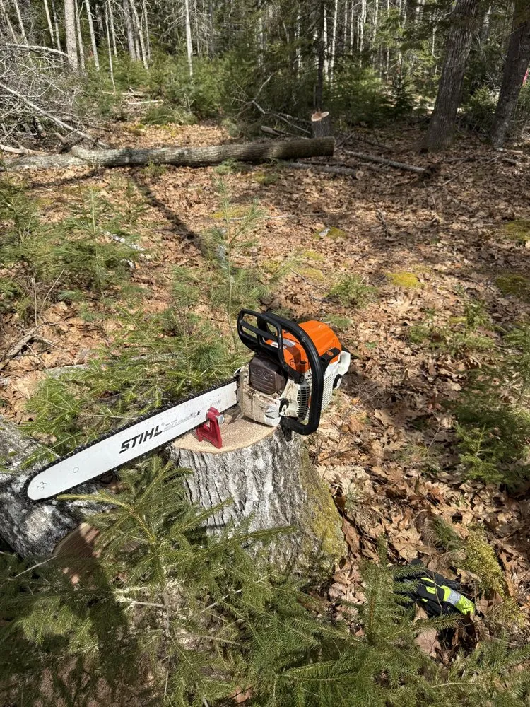 Local lawn mowing service near you in Surry, ME by Tony's Yard Services