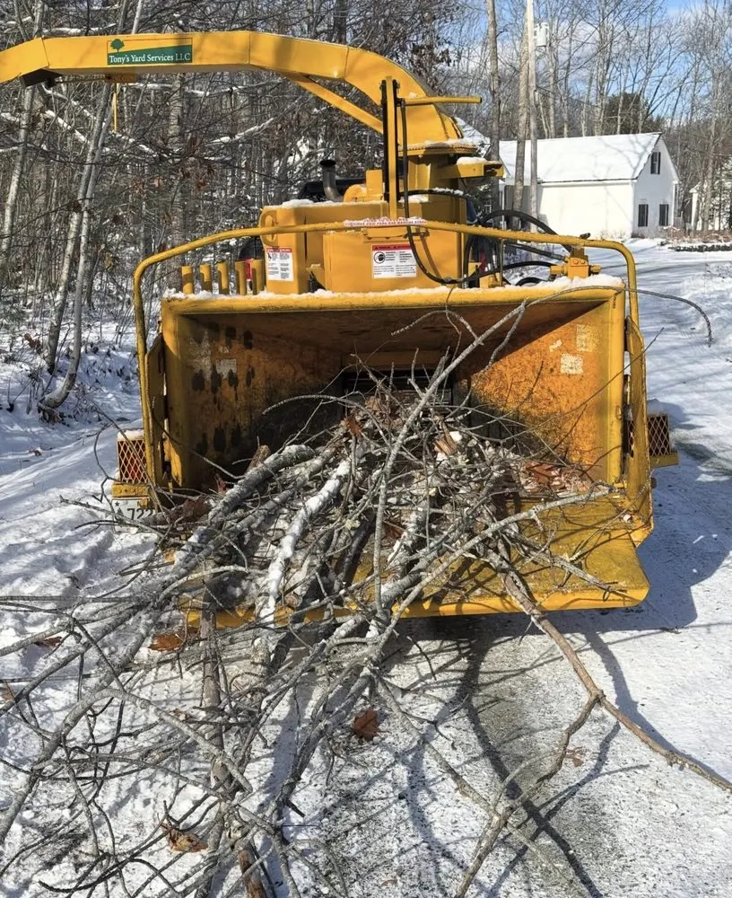 Affordable yard cleanup service experts serving Surry, ME - Tony's Yard Services