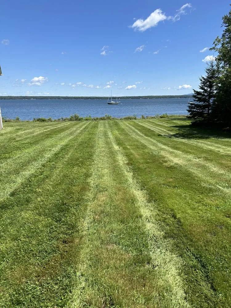 Affordable residential landscaping in Surry, ME - Tony's Yard Services