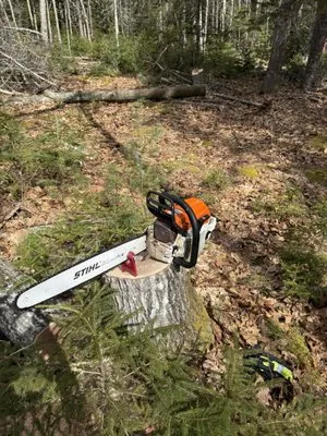 Tony's Yard Services