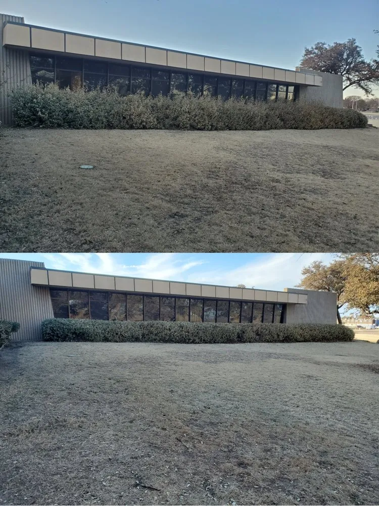 Reliable yard cleanup service for year-round maintenance across lubbock, TX - Too Good Lawn Care