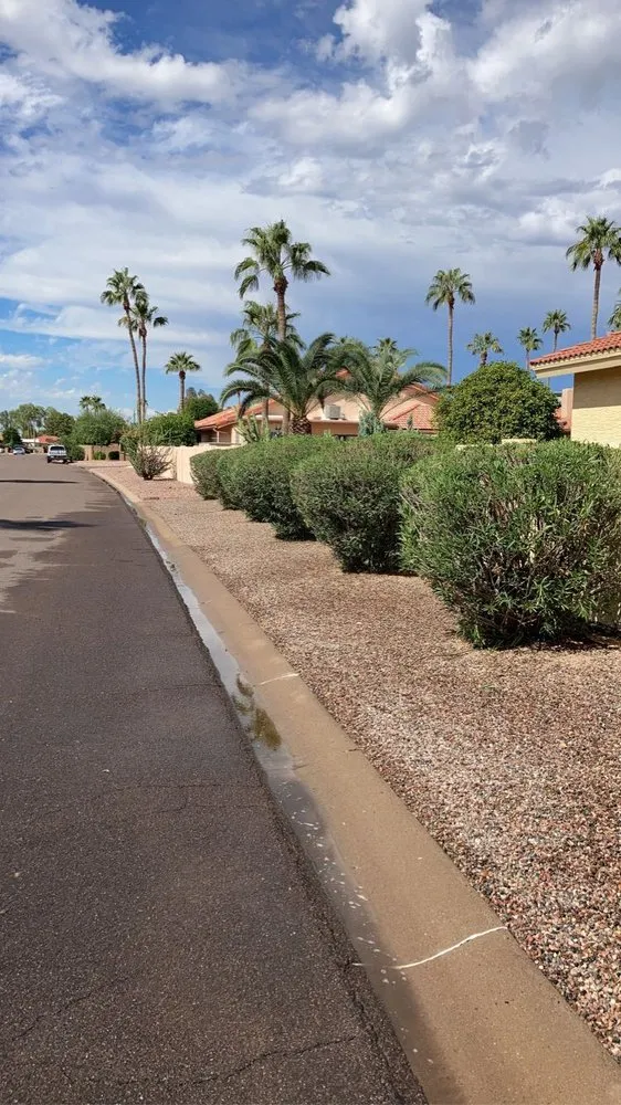 Custom lawn care service for beautiful yards across Chandler, AZ - Too Hot Landscaping