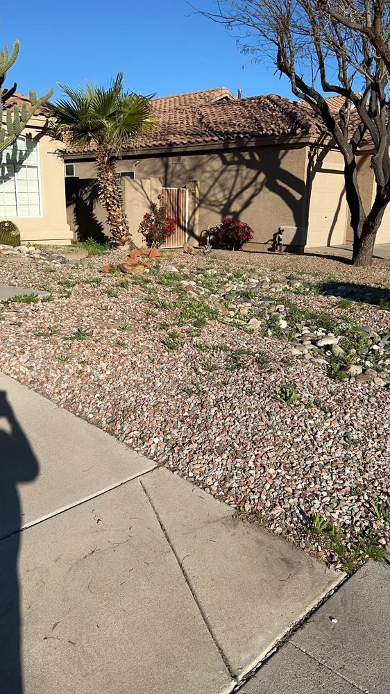 Affordable yard maintenance in Chandler, AZ - Too Hot Landscaping