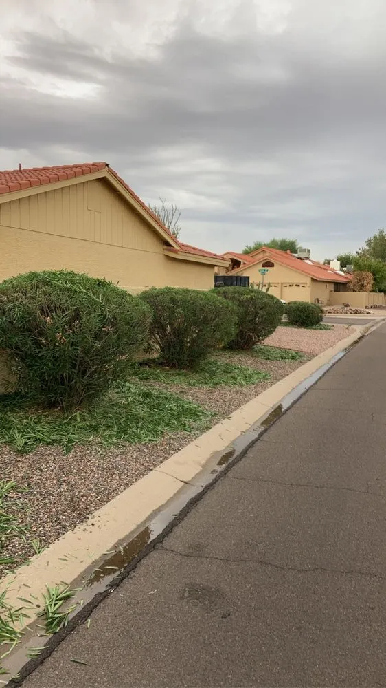 Affordable landscape design for beautiful yards across Chandler, AZ - Too Hot Landscaping