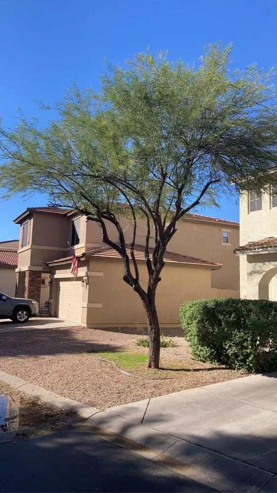 Trusted lawn care service in Chandler, AZ by Too Hot Landscaping