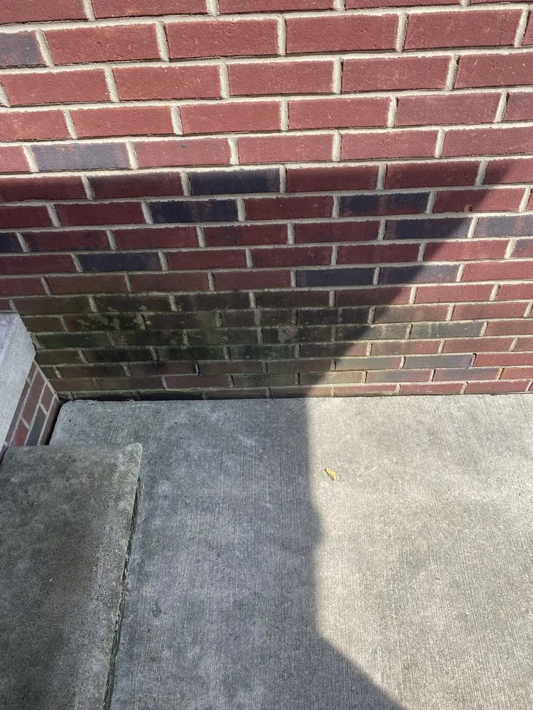 Custom yard cleanup service for homes in Rochester Hills, MI by Too Legit Pressure Washing & Property Services