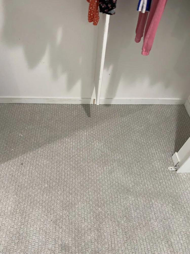 Reliable yard cleanup service in Rochester Hills, MI - Too Legit Pressure Washing & Property Services