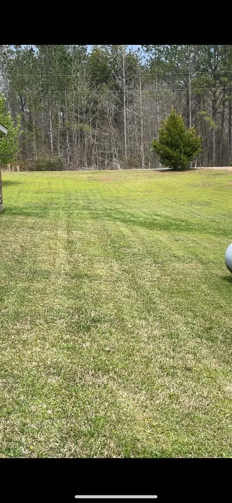 Trusted yard cleanup service experts serving Carthage, MS - Too Plush Lawns