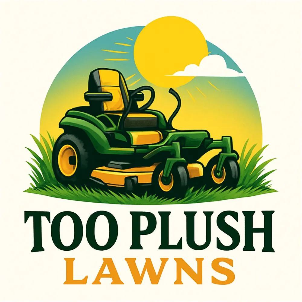 Expert landscaping services in Carthage, MS by Too Plush Lawns