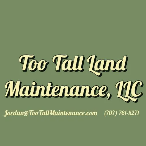 Expert lawn care service for beautiful yards in Vacaville, CA by Too Tall Land Maintenance