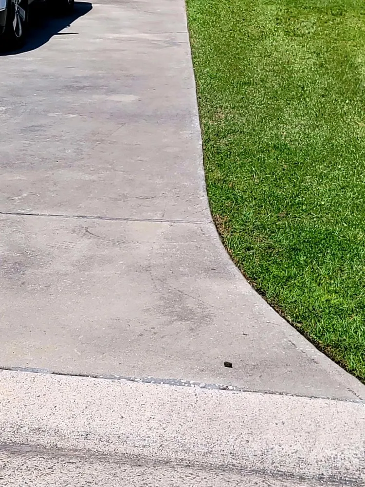 Affordable yard cleanup service in Allenhurst, GA by TooEasy Cuts