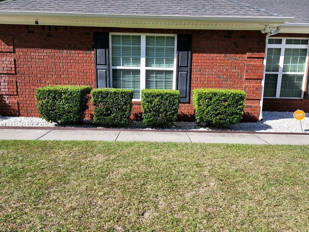 Affordable lawn care service experts serving Allenhurst, GA - TooEasy Cuts