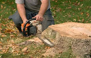 Expert outdoor landscaping experts serving Saint Peter, MN - Tool Time's Handyman