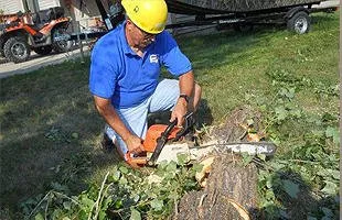 Expert yard maintenance in Saint Peter, MN by Tool Time's Handyman